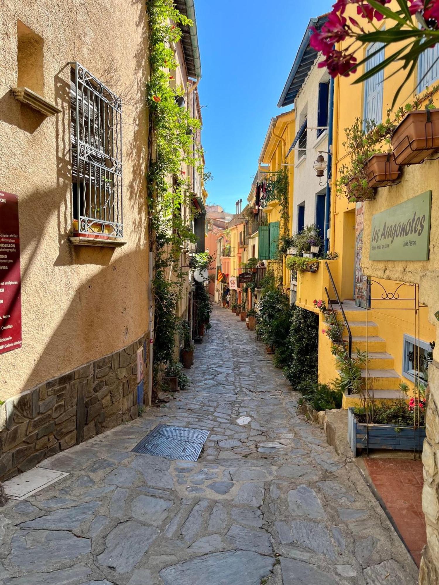 Appartement Collioure, Grande Terrasse Et Parking Luaran gambar